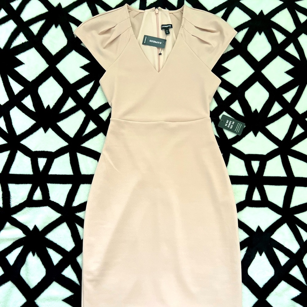 EXPRESS blush/pink sheath dress. NWT size XXS